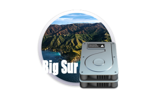 快速映像MacOS11.7-APFS.img-快活技术